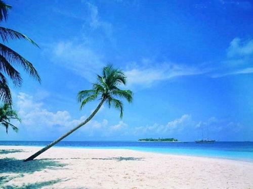 Sanya Tropical Coast Hotel Екстер'єр фото