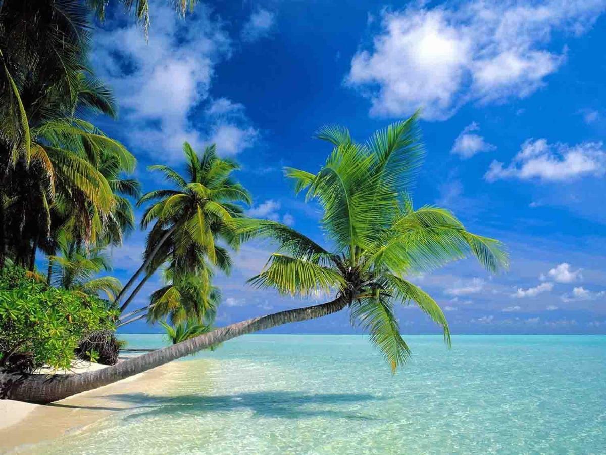 Sanya Tropical Coast Hotel Екстер'єр фото