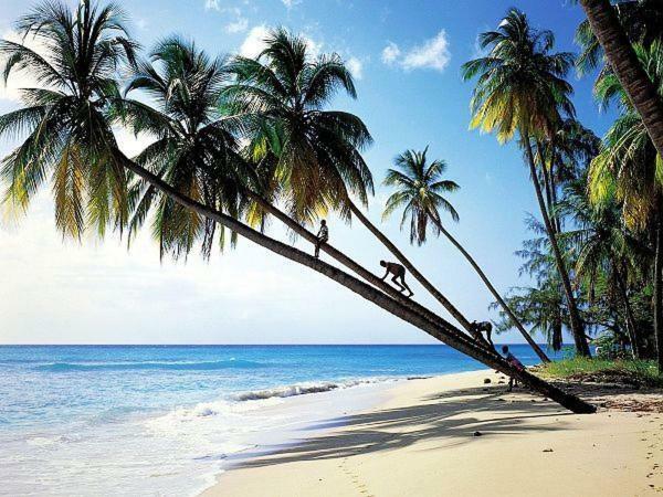Sanya Tropical Coast Hotel Екстер'єр фото